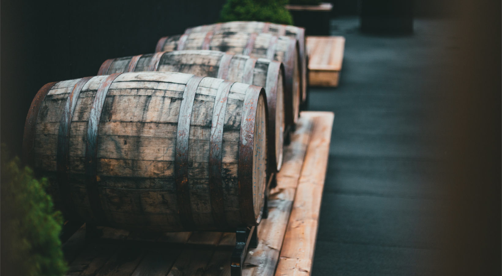 row-of-wine-barrels